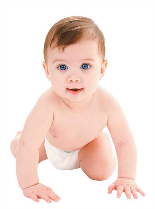 探索雅培旗下最受欢迎的奶粉品牌：如何找到最适合你宝宝的那一款