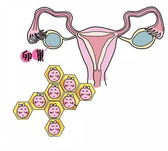孕早期饮食不振可能导致的健康风险与解决方法