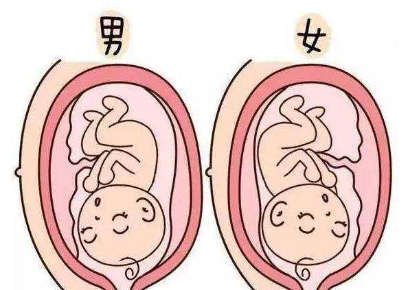 西安宫腔粘连手术医院,选医生还得看性价比