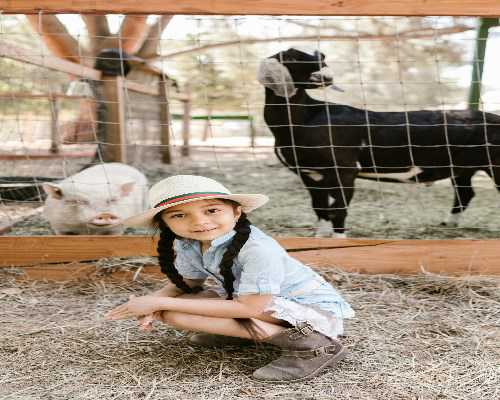代孕产子费用问题,代孕试管机构,四平三代试管生孩子价格明细