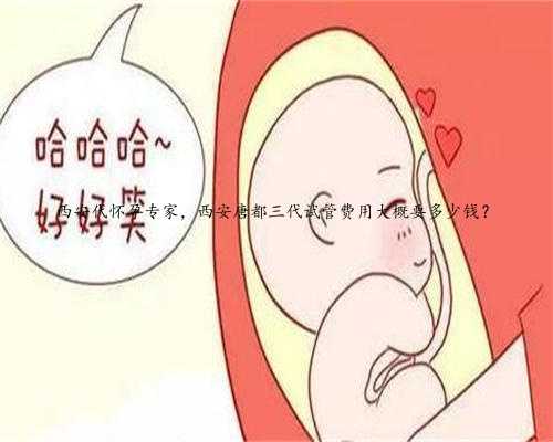 西安代怀孕专家，西安唐都三代试管费用大概要多少钱？