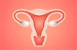 西安代孕试管捐卵论坛，[第三代婴儿试管价位]人工授精和试管婴儿有什么区别