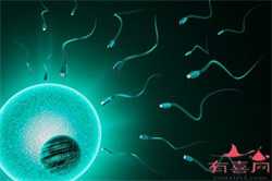 西安做试管代孕是，无精症男性可以通过泰国试管婴儿获得健康宝宝吗？
