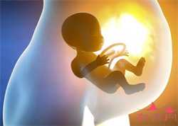 西安代孕官方网站，哪些因素会在做美国试管婴儿时影响成功率？