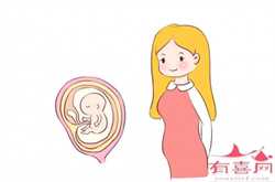 西安中国国内代孕机构，胎儿性别的发育过程是怎样的