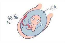 供卵试管生宝宝贵吗,贵阳市妇幼保健院可以做三代供卵试管婴儿吗？成功率如