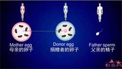 西安供卵生育~西安找人供卵合法吗~，单侧卵巢多囊怎么办