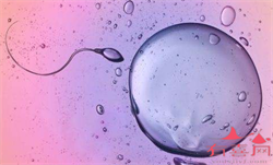 西安供卵生殖中心~西安有知名度的供卵试管，幼儿长奶癣怎么治