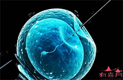 2022上海瑞金医院供卵试管费用一览，附供卵试管医院排名