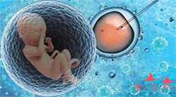 西安代孕生子微信群，中国首个移植子宫内孕育宝宝在西安出生