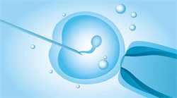 西安代生宝宝咨询,陕西做试管供卵生男孩费用合计2023高龄供卵三代生子条件分