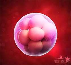 西安助孕供卵网，西安不孕不育网站：西安治疗不孕不育症
